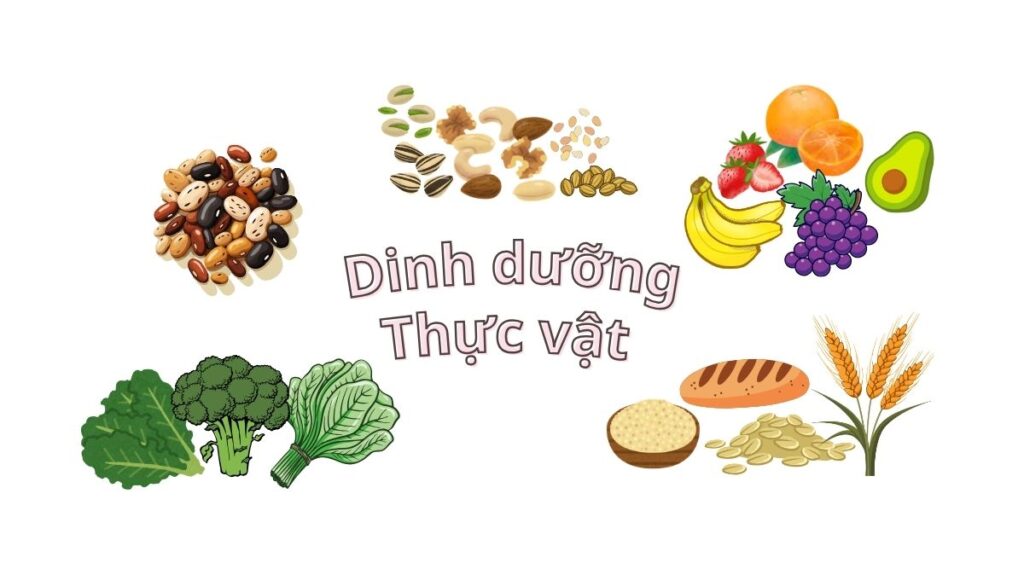Đột quỵ và ưu điểm của dinh dưỡng thực vật