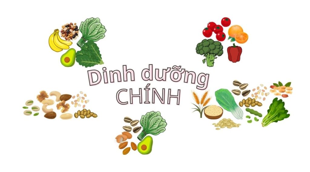 Dinh dưỡng thực vật và giảm nguy cơ đột quỵ xuất huyết