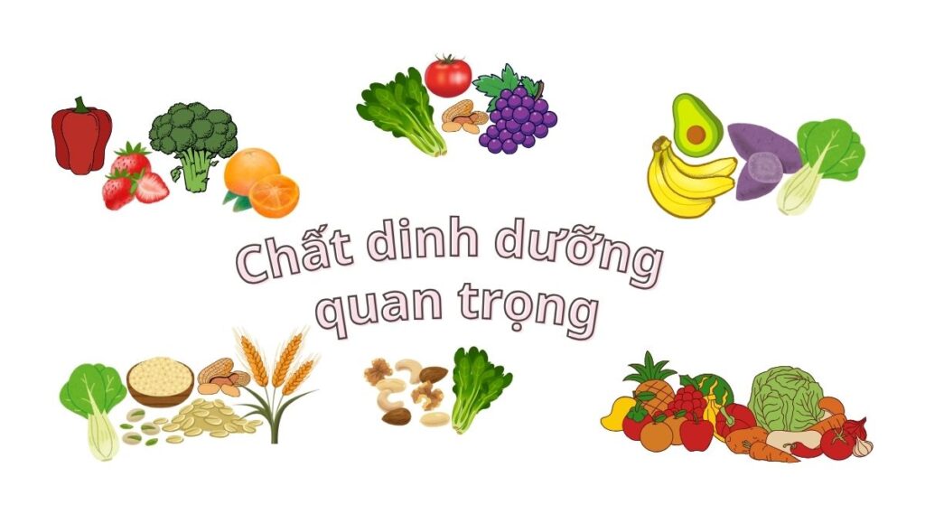 Dinh dưỡng thực vật và suy tim: Chiến lược phòng ngừa hiệu quả