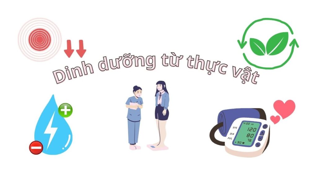 Chế độ dinh dưỡng chay giúp cải thiện rối loạn nhịp tim