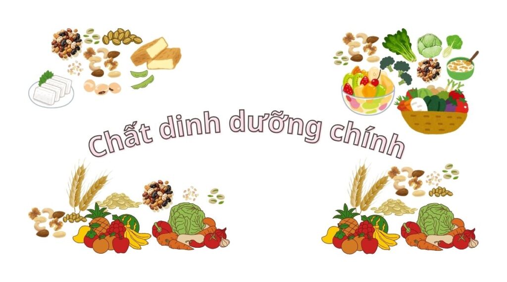 Tác động của dinh dưỡng thực vật đến sốc