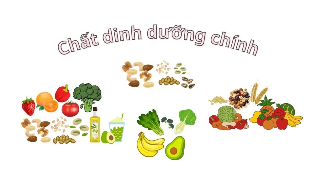 Mẹo dinh dưỡng thực vật giúp ngăn ngừa tràn dịch màng phổi