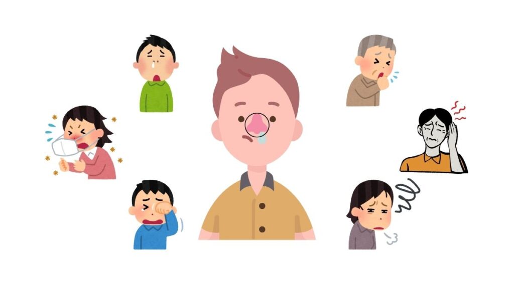Dinh dưỡng thực vật làm giảm triệu chứng viêm mũi dị ứng hiệu quả