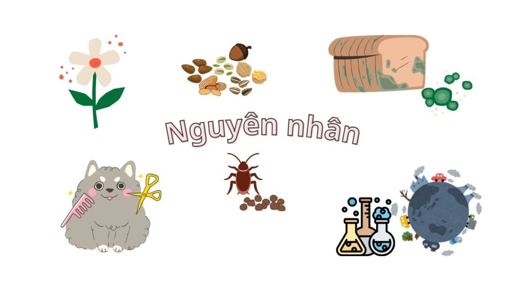 Dinh dưỡng thực vật làm giảm triệu chứng viêm mũi dị ứng hiệu quả