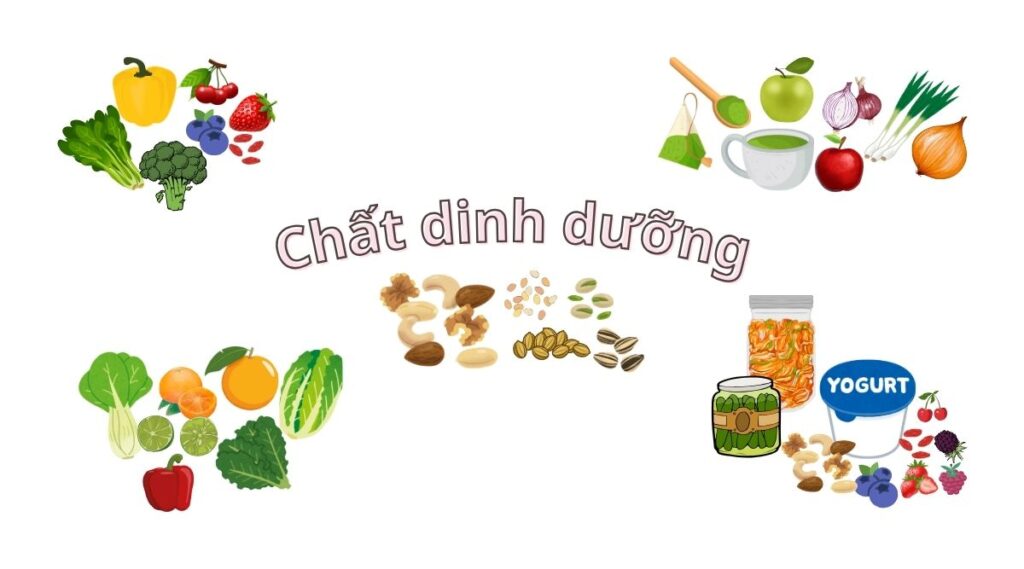 Dinh dưỡng thực vật làm giảm triệu chứng viêm mũi dị ứng hiệu quả