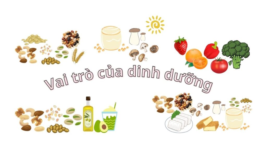 Dinh dưỡng chay và sự kiểm soát bệnh viêm phổi