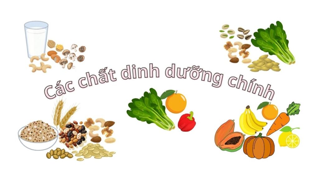 Dinh dưỡng chay giúp chống bệnh cúm