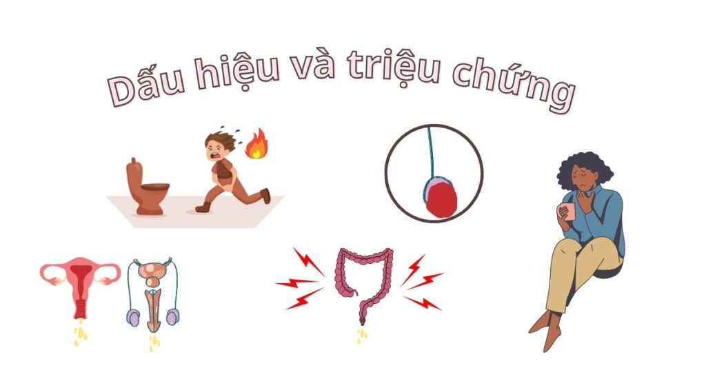 Dinh dưỡng chay và nguy cơ giảm bệnh lậu