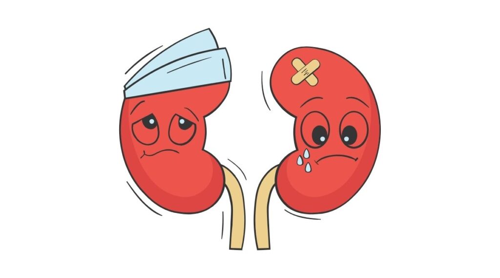 Bệnh thận cùng lối sống ăn chay