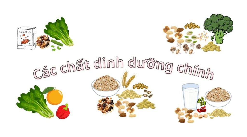 Bệnh giang mai và dinh dưỡng chay