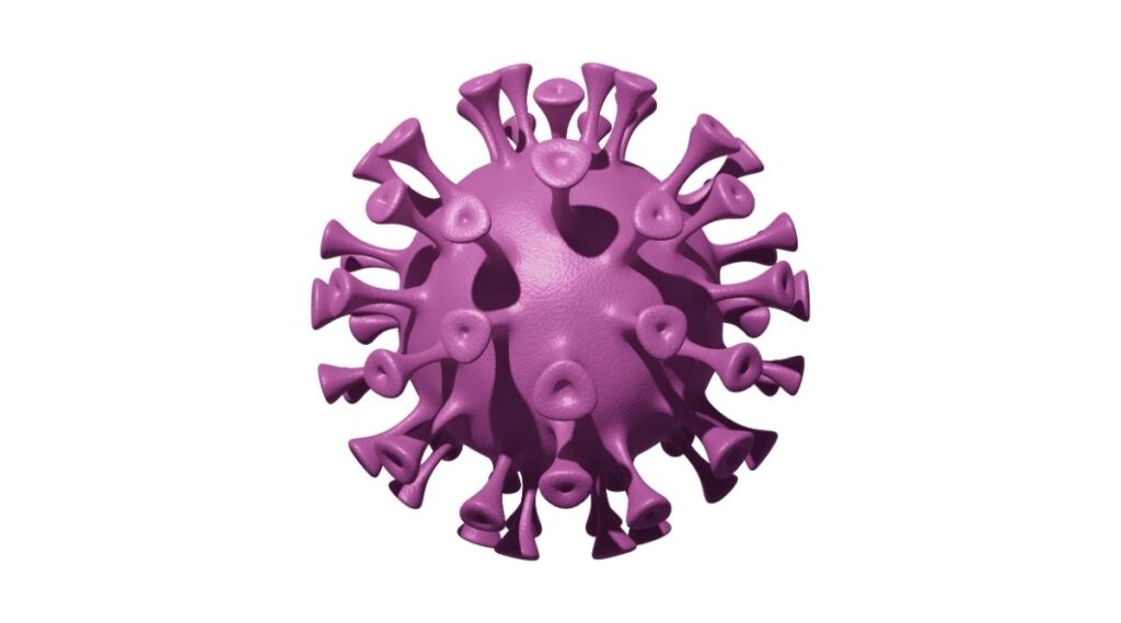 Dinh dưỡng chay ảnh hưởng đến Herpes
