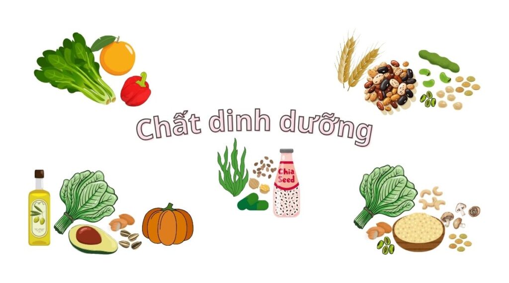 Dinh dưỡng chay ảnh hưởng đến Herpes