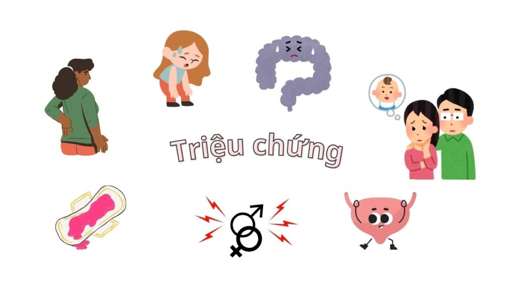 Bệnh lạc nội mạc tử cung với dinh dưỡng chay