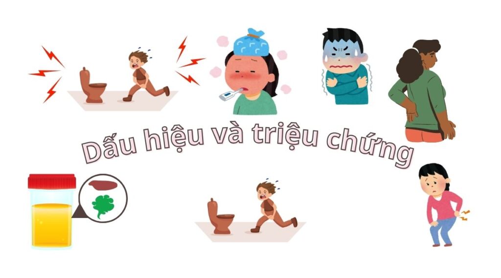 Lợi ích ăn chay với nhiễm trùng đường tiết niệu