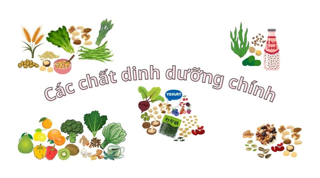 Dinh dưỡng thực vật có thể giúp bệnh Parkinson