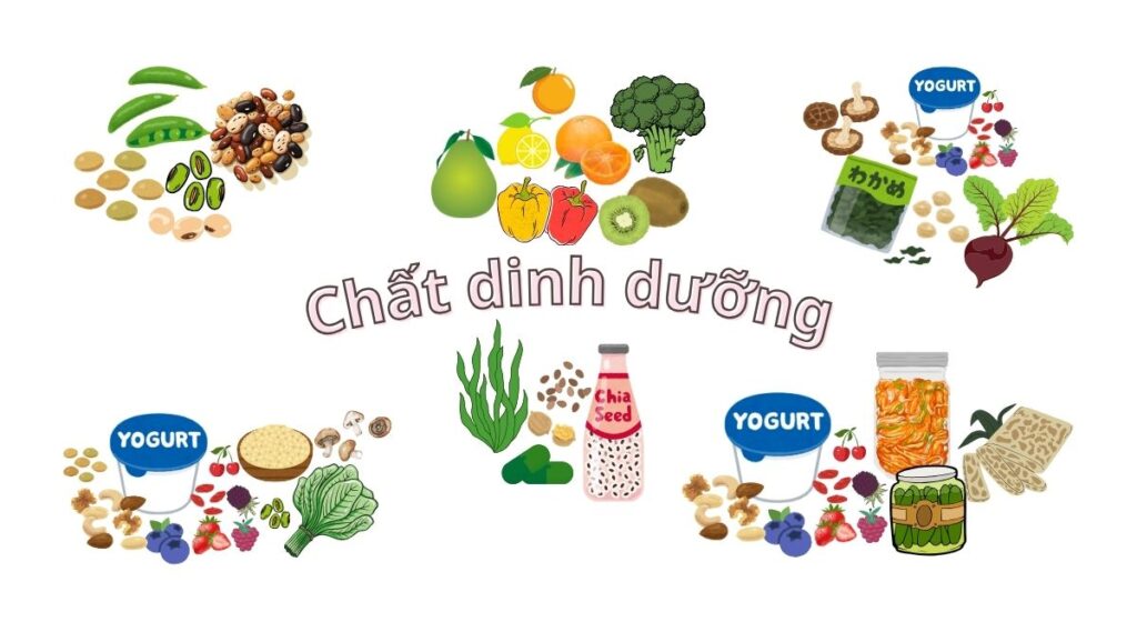 Dinh dưỡng chay giúp rối loạn lo âu