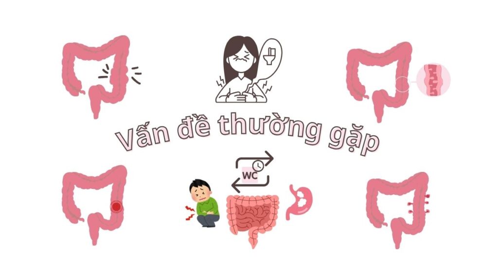 Điều kỳ diệu của ruột già và dinh dưỡng chay