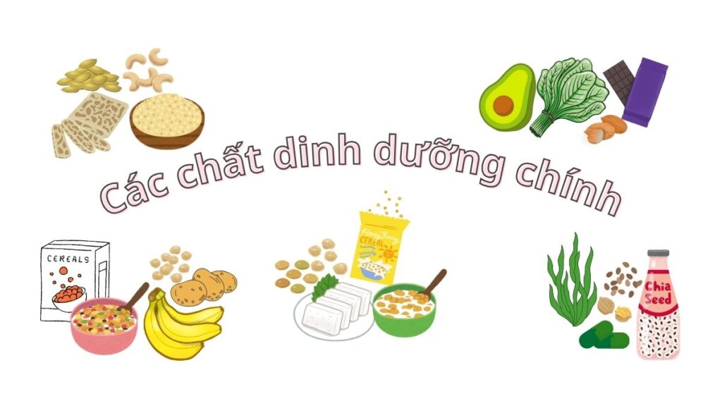 Rối loạn tăng động giảm chú ý và ăn chay