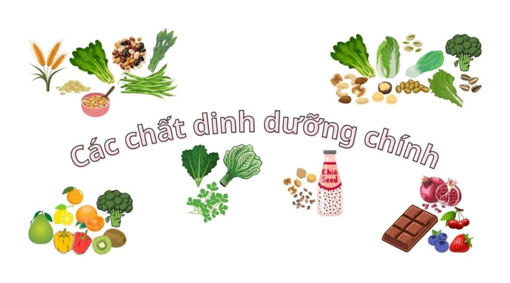 Ăn chay và bệnh tăng tiểu cầu thiết yếu