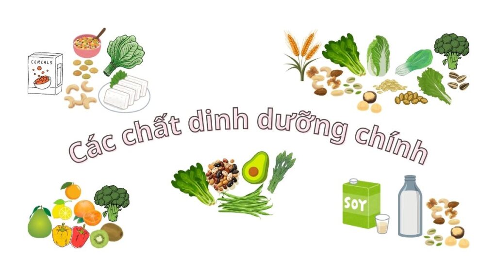 Dinh dưỡng thực vật chống lại thiếu máu mãn tính