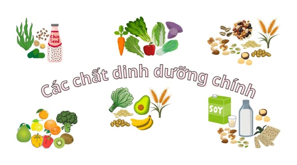 Sức mạnh của dinh dưỡng chay với sức khỏe thính giác