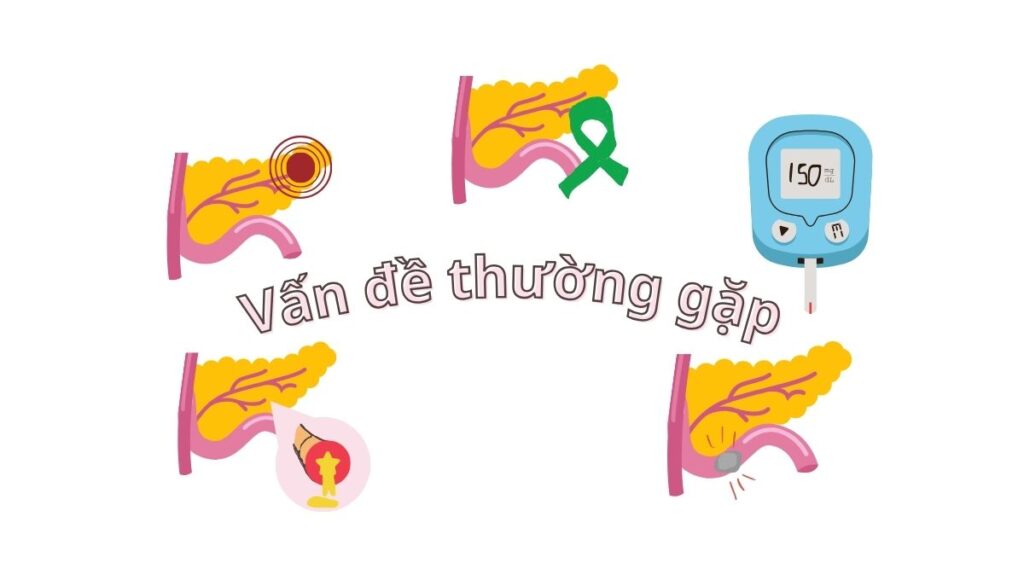 Mở khóa bí mật tuyến tụy