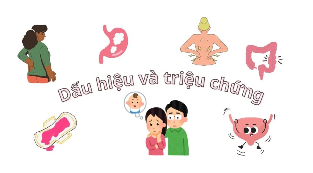 Ưu điểm của dinh dưỡng chay với u xơ tử cung