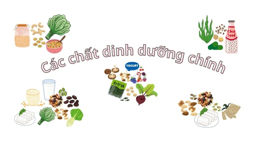 Dinh dưỡng chay và bệnh xơ cứng teo cơ một bên