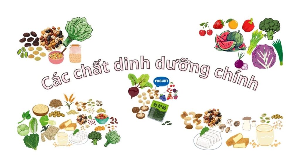 Dinh dưỡng chay với bệnh xơ tủy nguyên phát