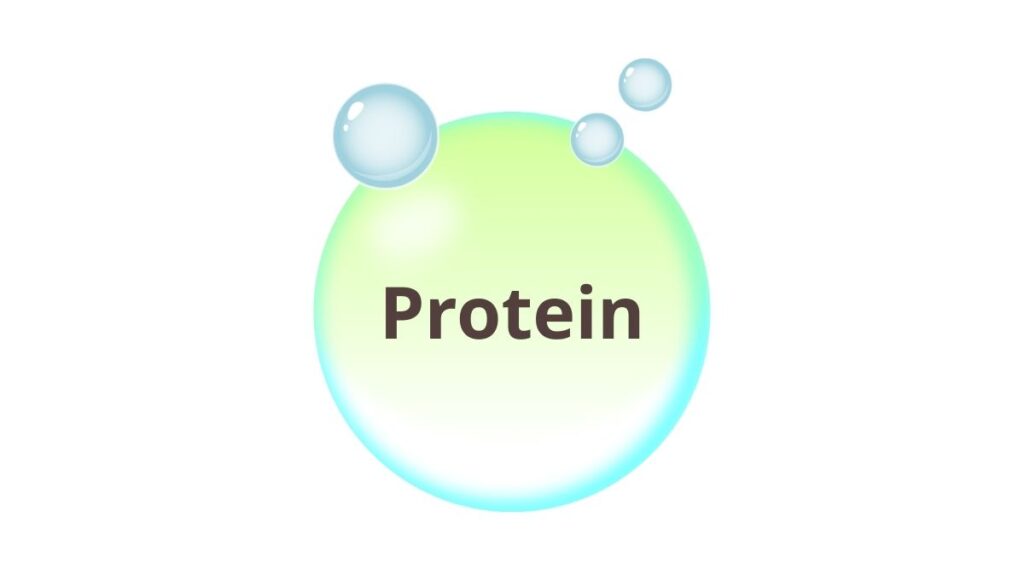 Protein hỗ trợ tăng trưởng cho bé ăn chay